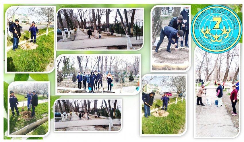 Ағымдағы күні, қала әкімінің тапсырмасы бойынша №7 мектеп гимсназиясы"Тал егу" акциясын өткіздігін растайды.